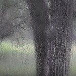 Songs of Rain   